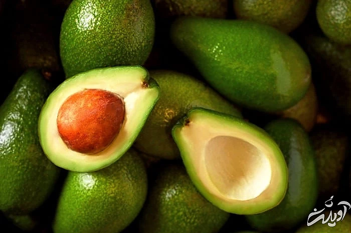 ماسک مو طبیعی ماسک مو آووکادو